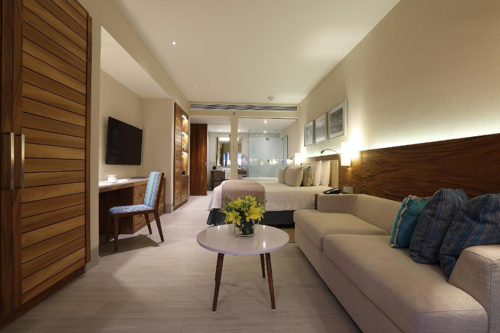 Deluxe King Suite - View